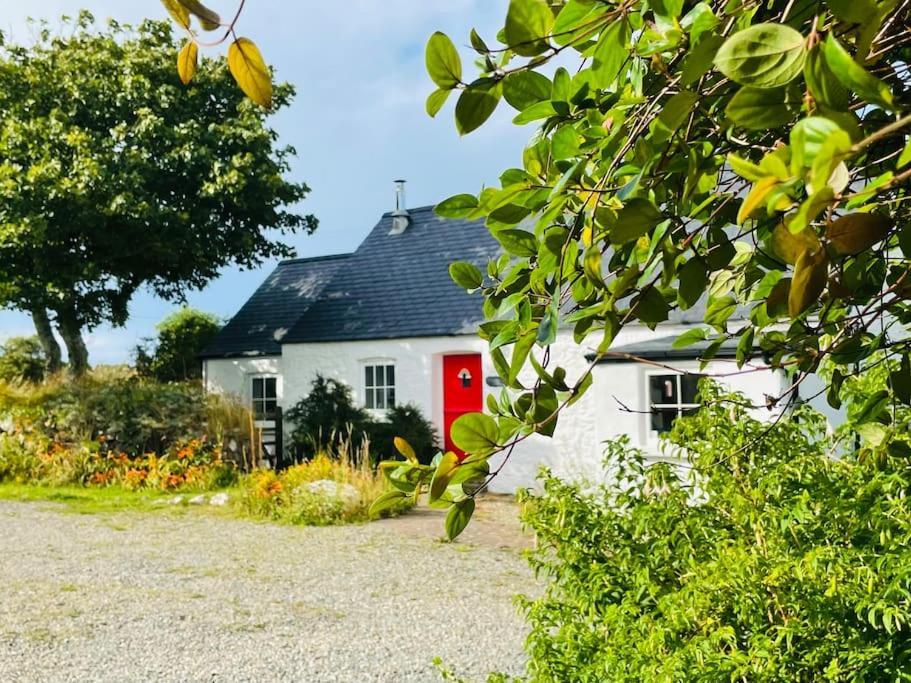The Dairy @ Trefechan Wen * Goodwick